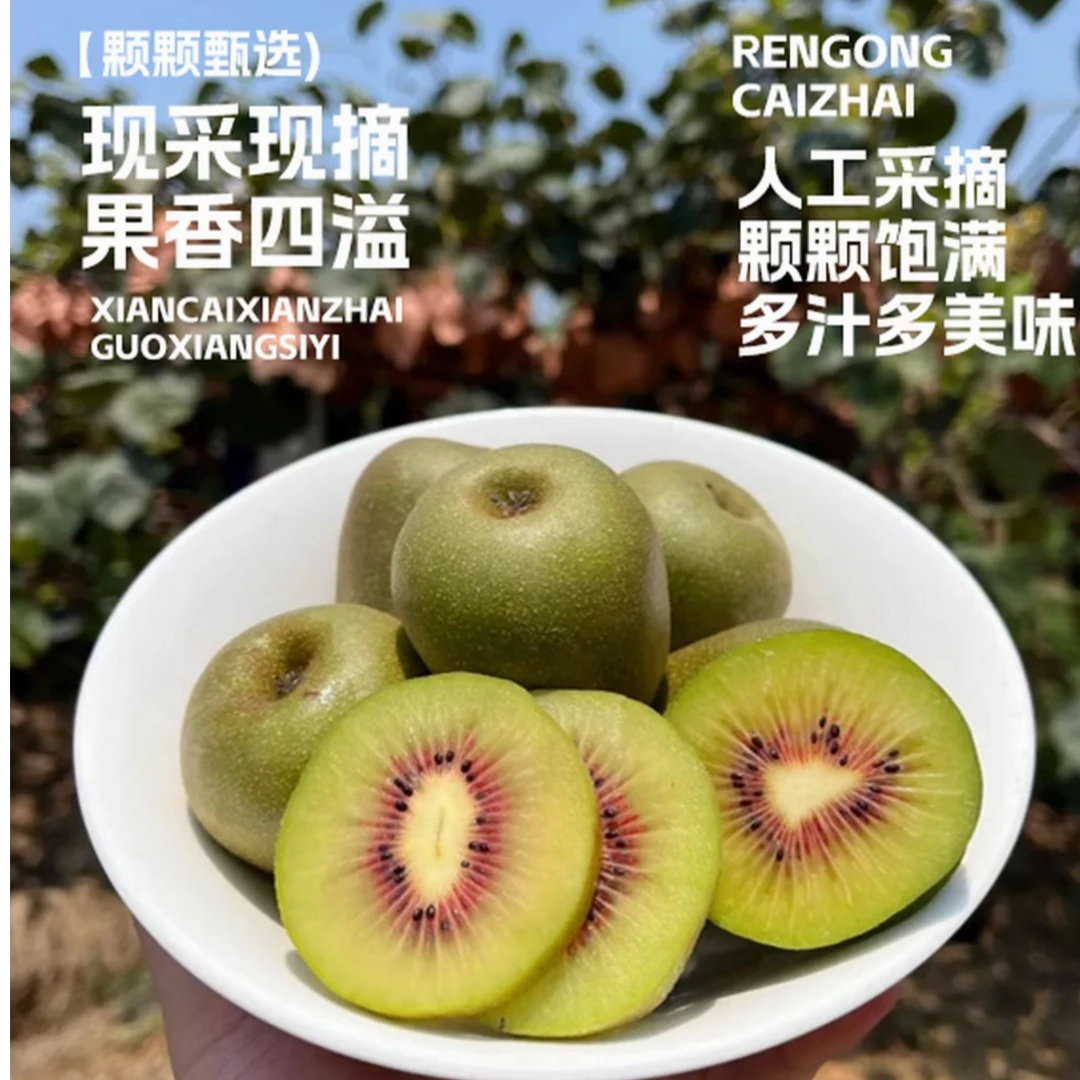 《寿乡精选好物》世界长寿乡高山翠玉猕猴桃奇异果超甜多汁老少皆宜
