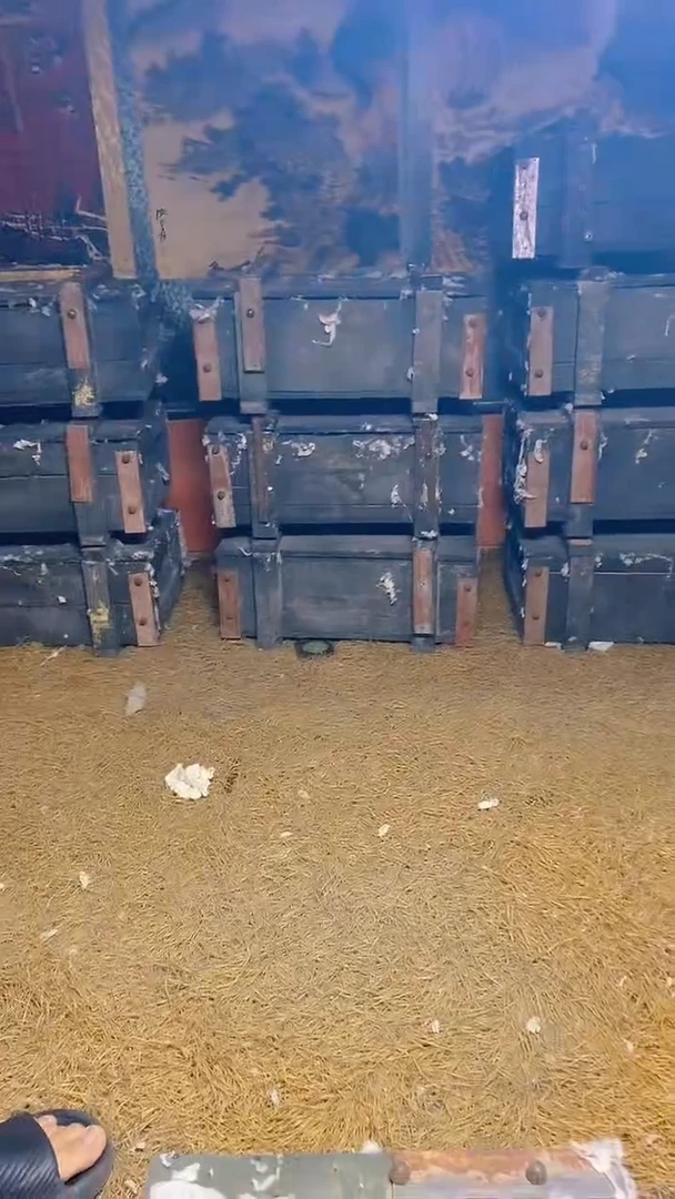摆件303