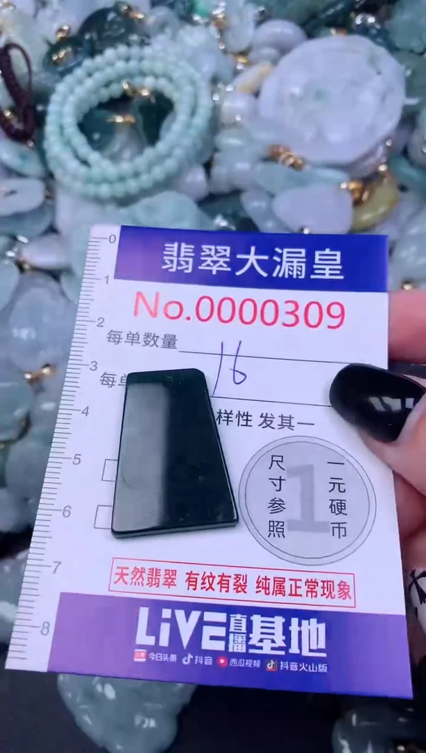 颈饰未镶嵌翡翠309