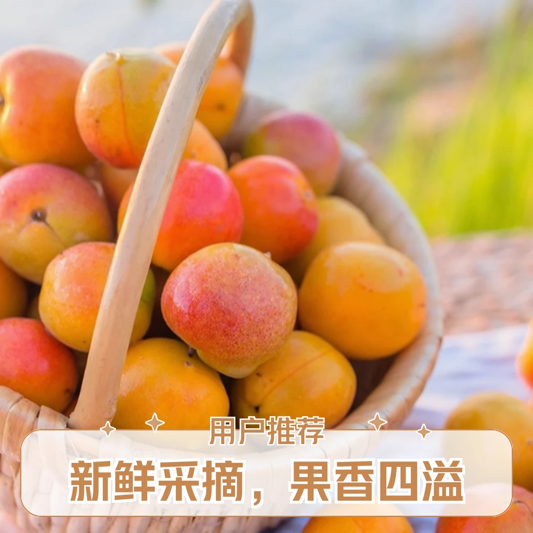 【红星电商中心】新疆小红杏新鲜吊干杏整件3斤装【顺丰次日达】新疆维吾尔自治区