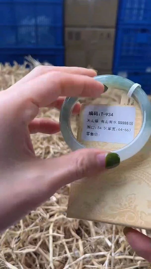 未镶嵌手镯石英质玉T934