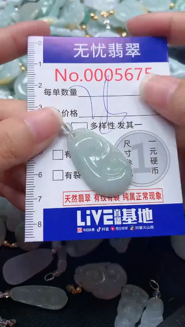 颈饰未镶嵌翡翠5675