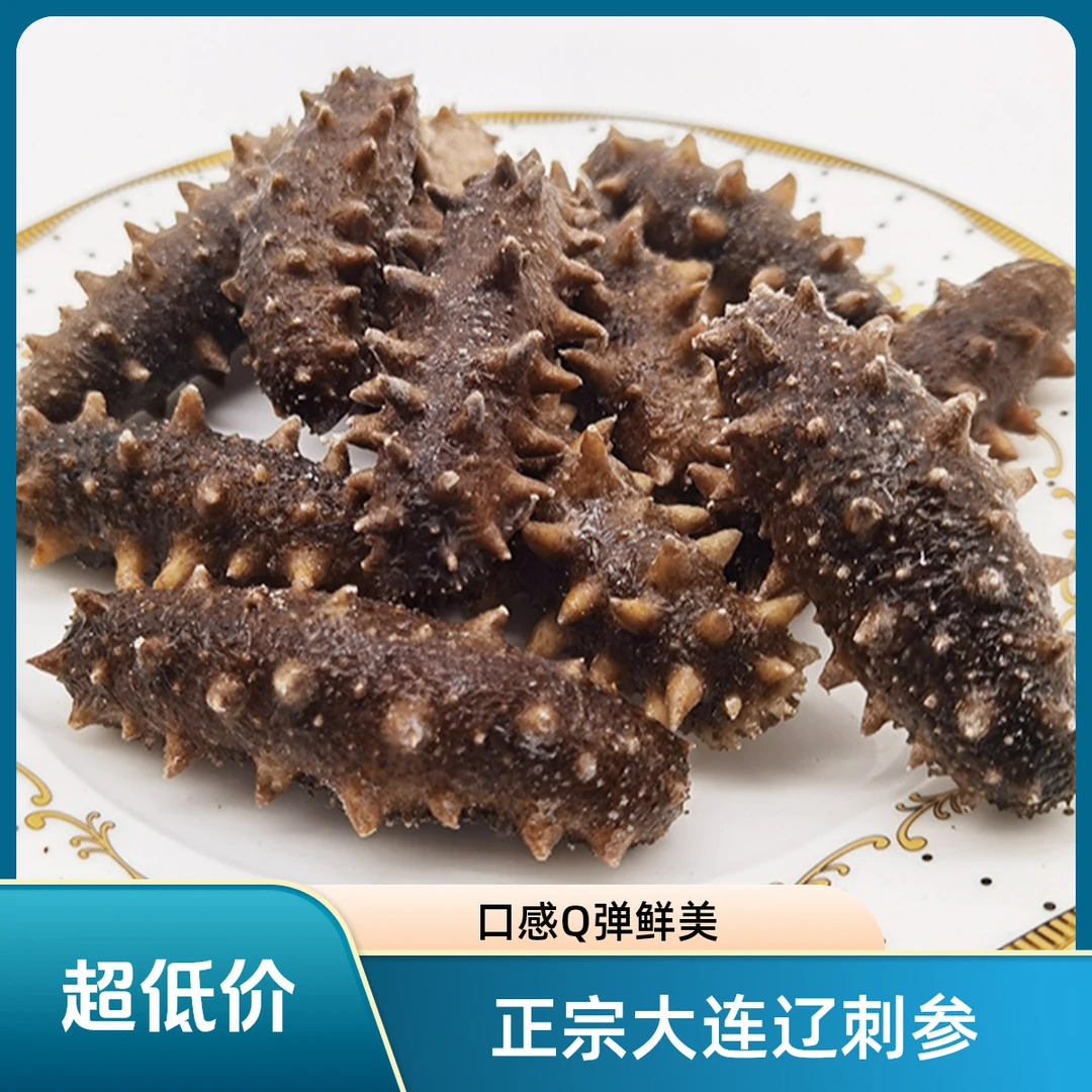 50只大连辽刺参开袋即食现场挑货发货