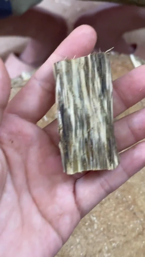 【闪购商品】沉香碎屑沉香木棋楠沉香 原料文创1