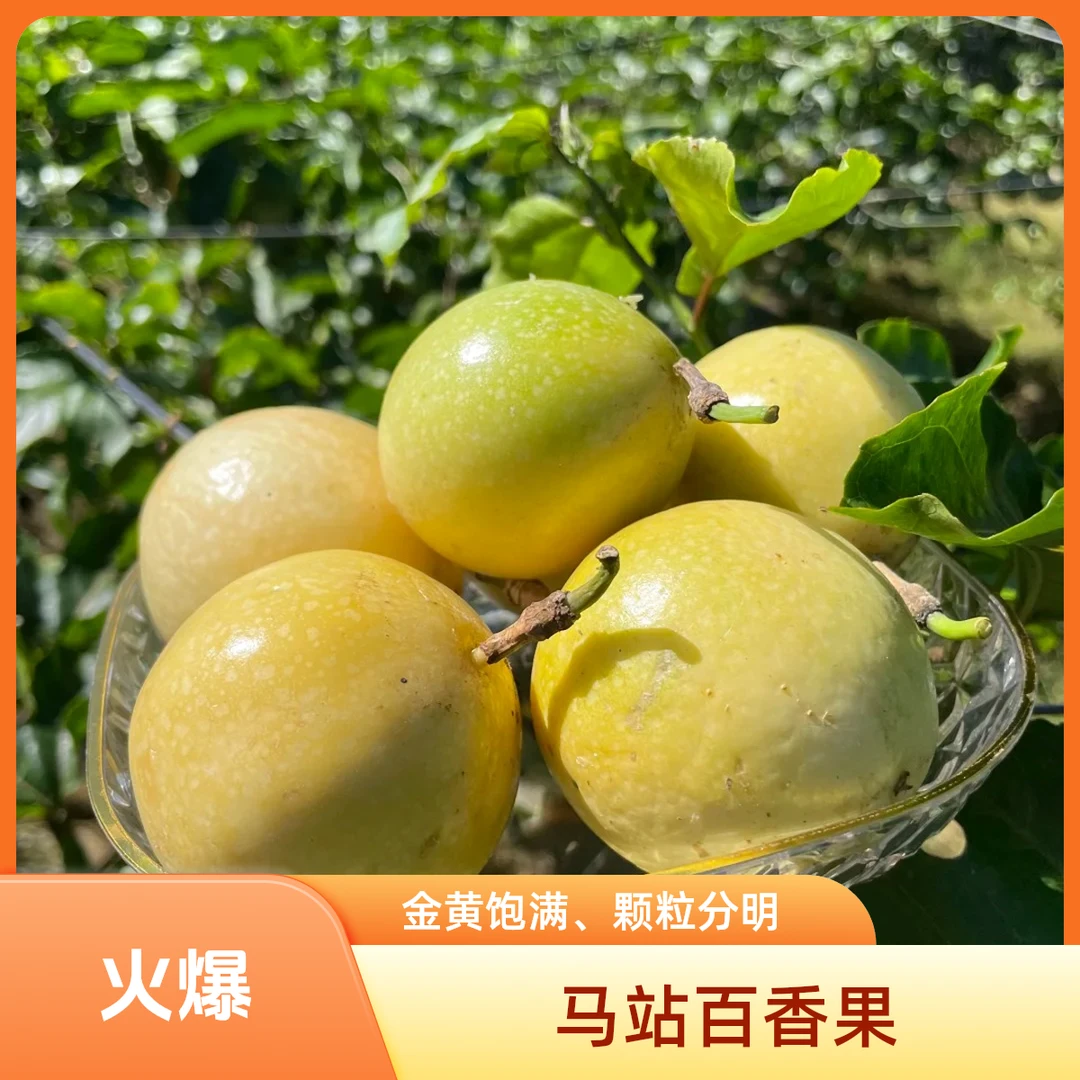 马站钦蜜九号百香果 现摘现发