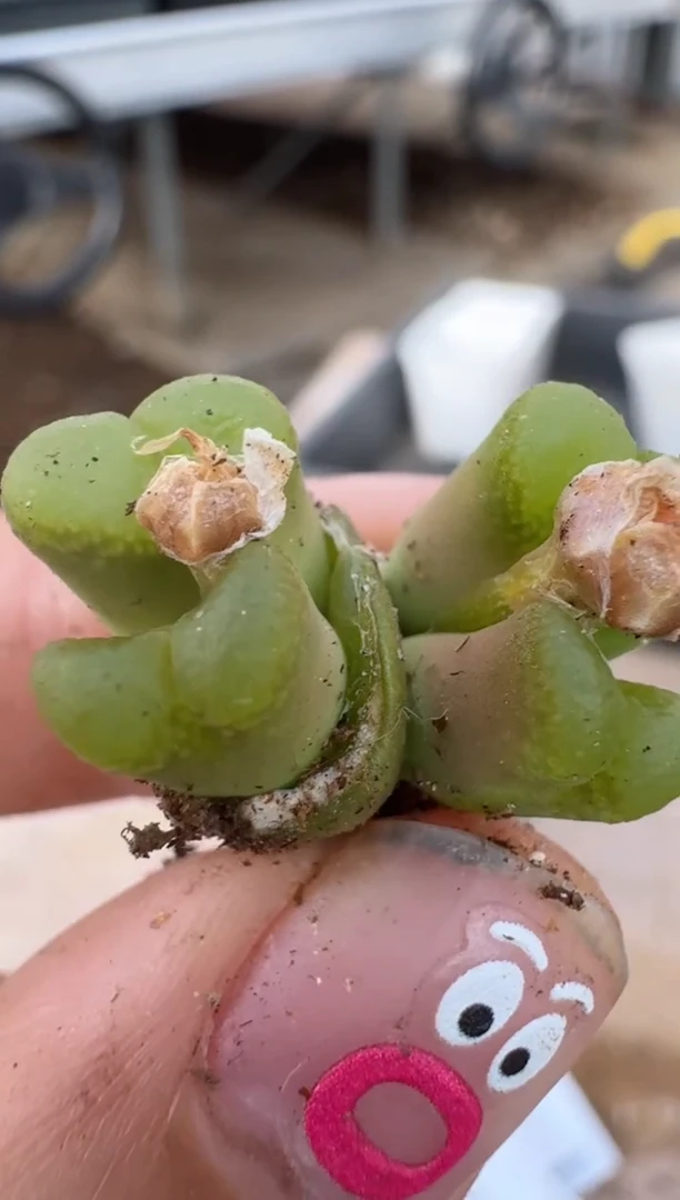 【闪购商品】16-149