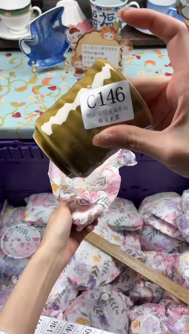 瓷片理*                C146