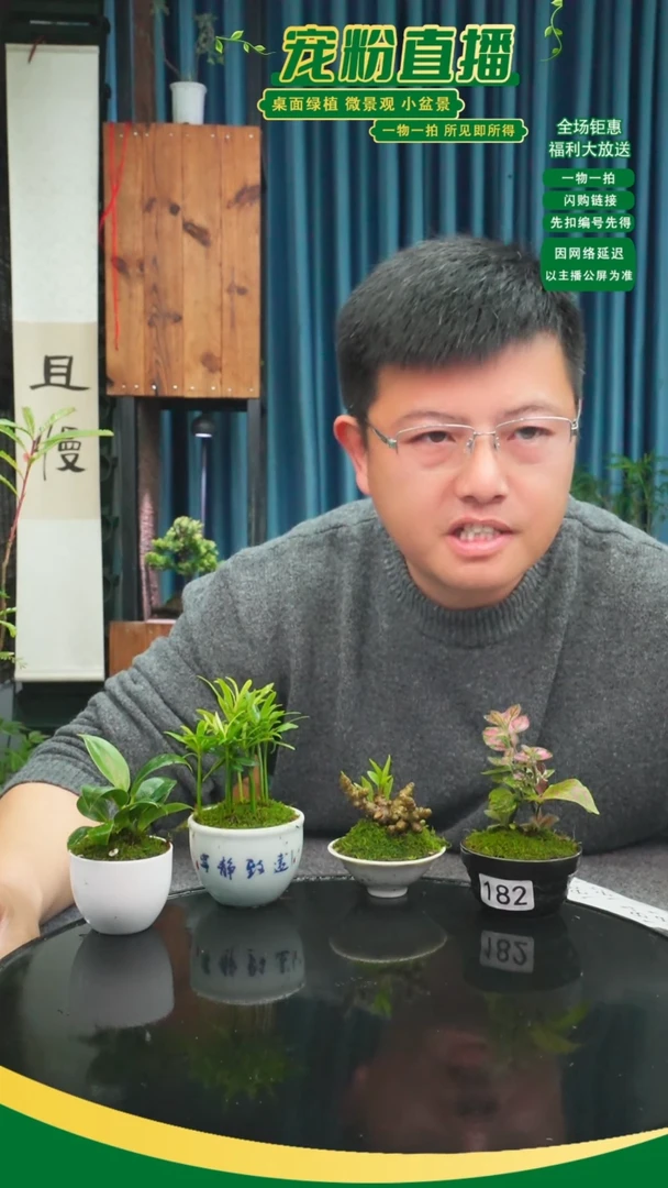 无花朵吃****饭苔藓微景观182号