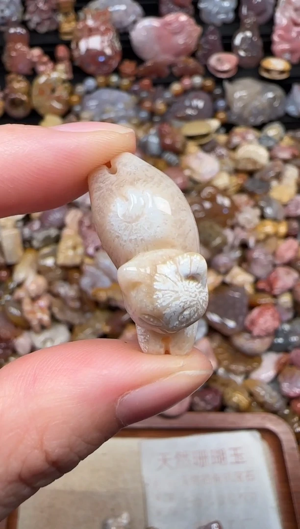 颈饰未镶嵌硅化珊瑚（珊瑚玉）361