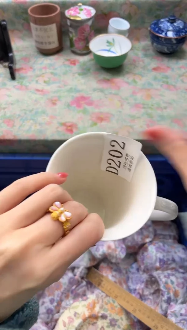 瓷片透**色       D202