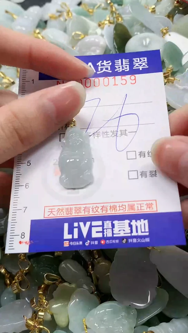 颈饰未镶嵌翡翠纯天然a货翡翠