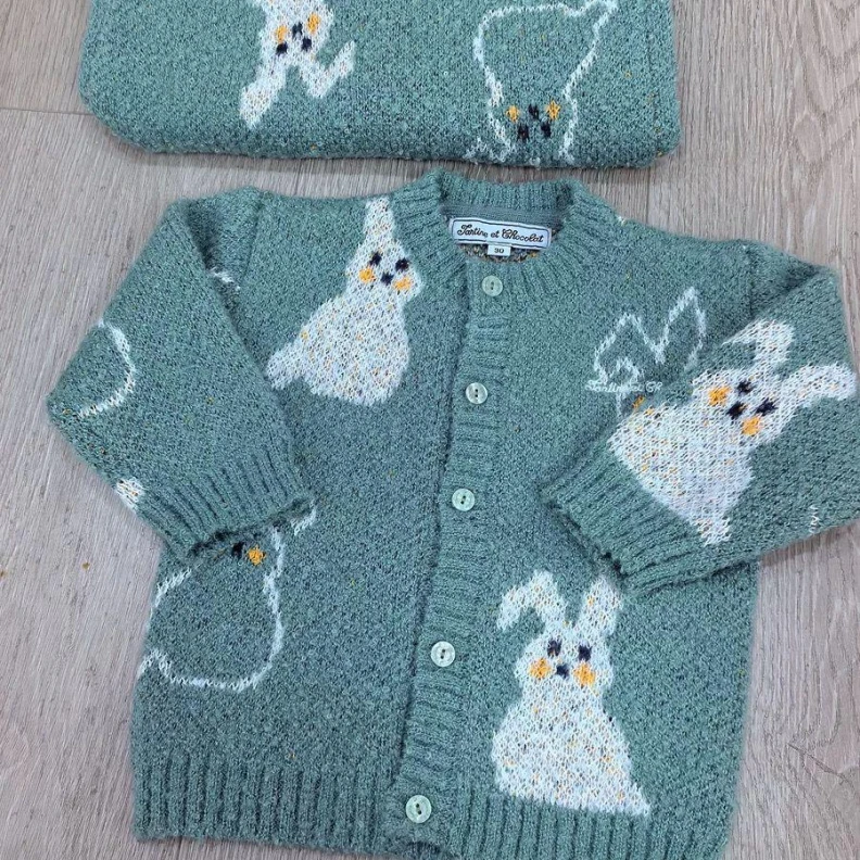 韩国童装新款上新儿童兔子刺绣针织毛衣开衫外套C25115