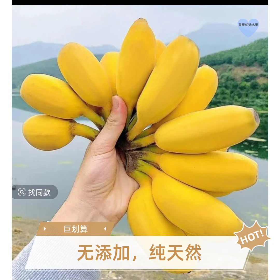 广东正宗大苹果焦产地直发香甜粉糯新鲜现摘精品当季薄皮苹果蕉