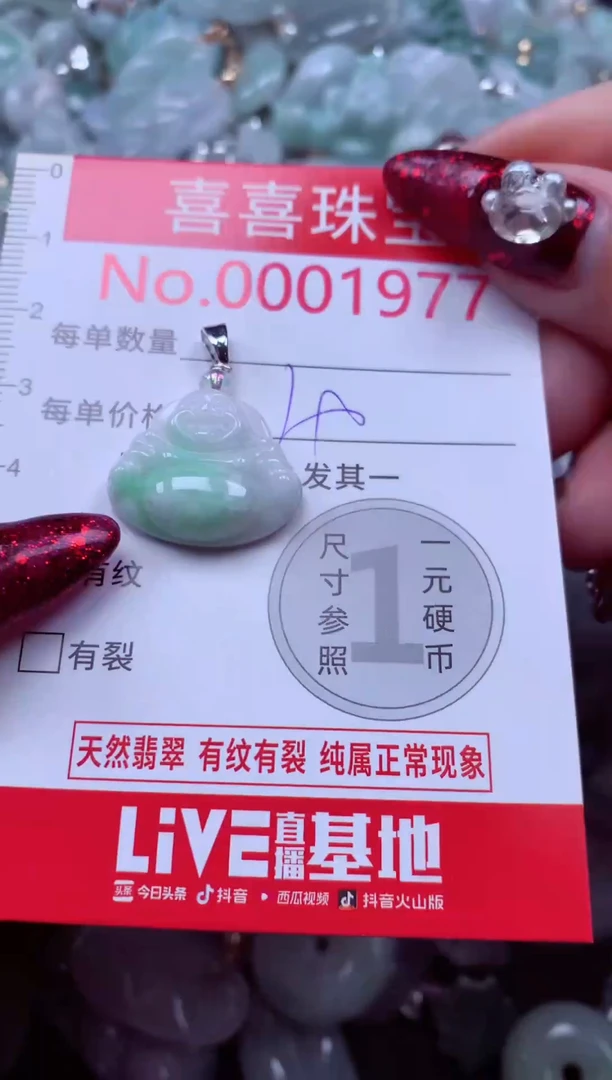 颈饰未镶嵌翡翠1977