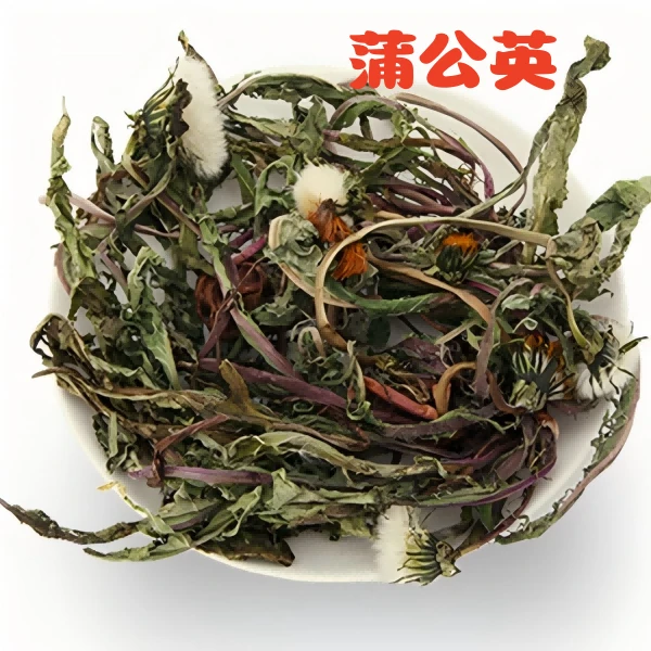 秦岭整颗蒲公英今年新货正品婆婆丁带根带花