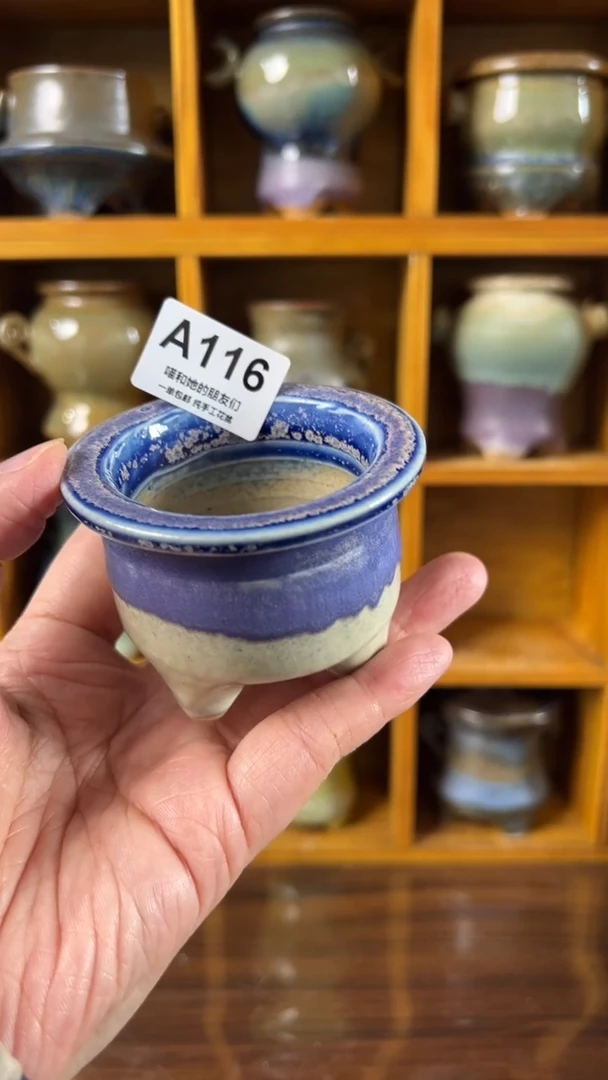 116 内口5【多肉花盆多肉盆】