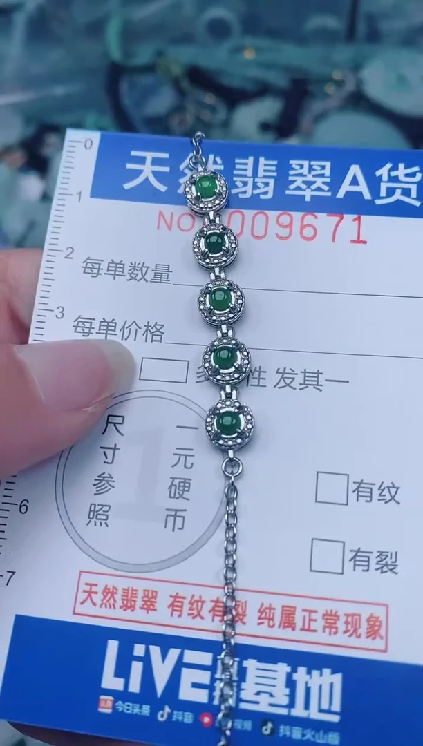 颈饰未镶嵌翡翠00009671