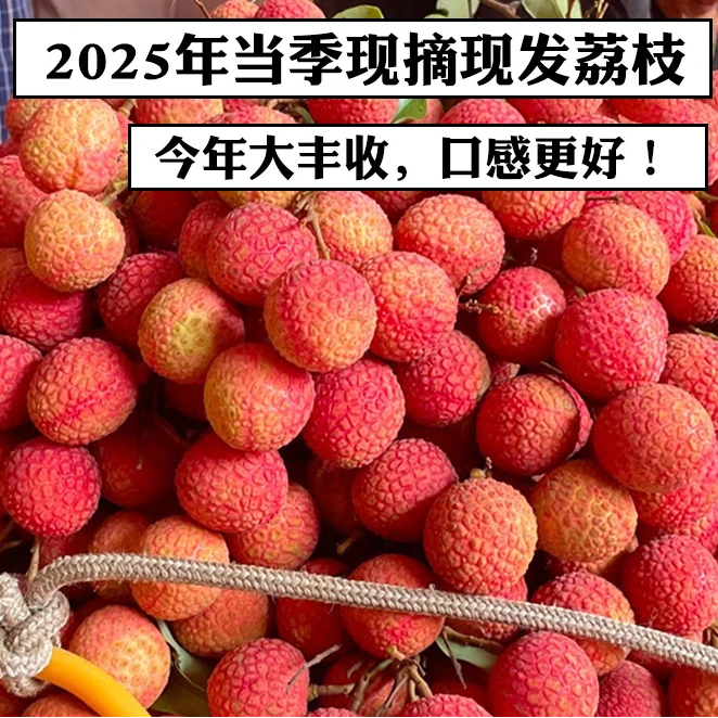 【顺丰冷链】白糖罂荔枝广东新鲜当季水果整箱3-5斤大果肉厚纯甜