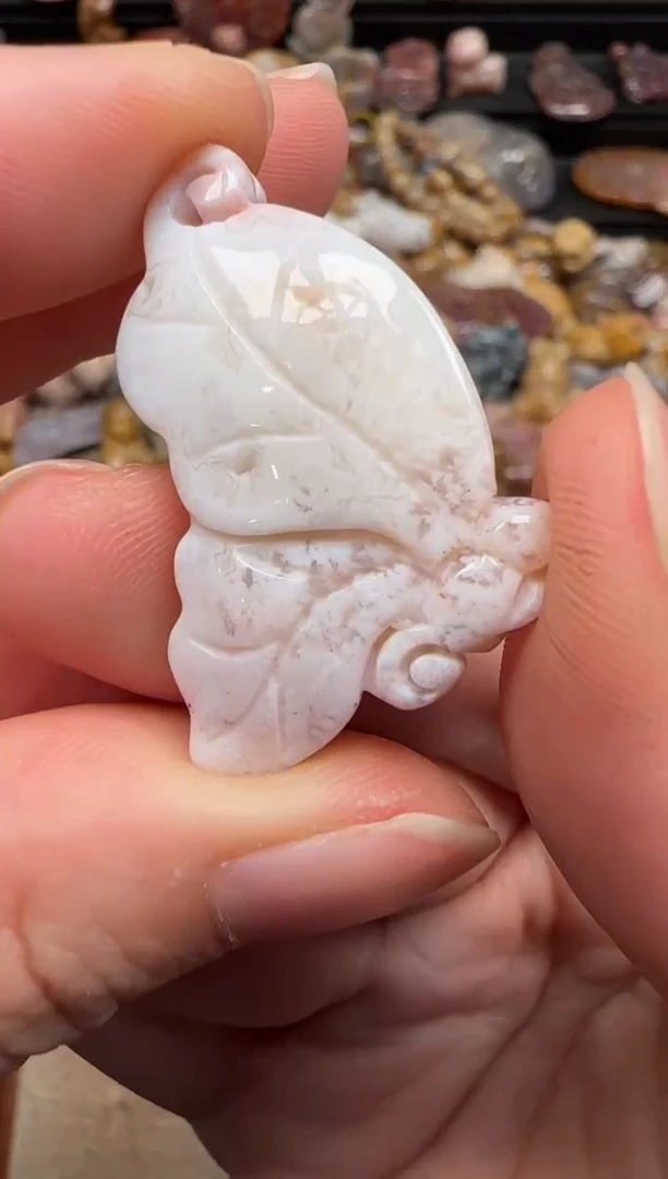 硅化珊瑚（珊瑚玉）未镶嵌颈饰457