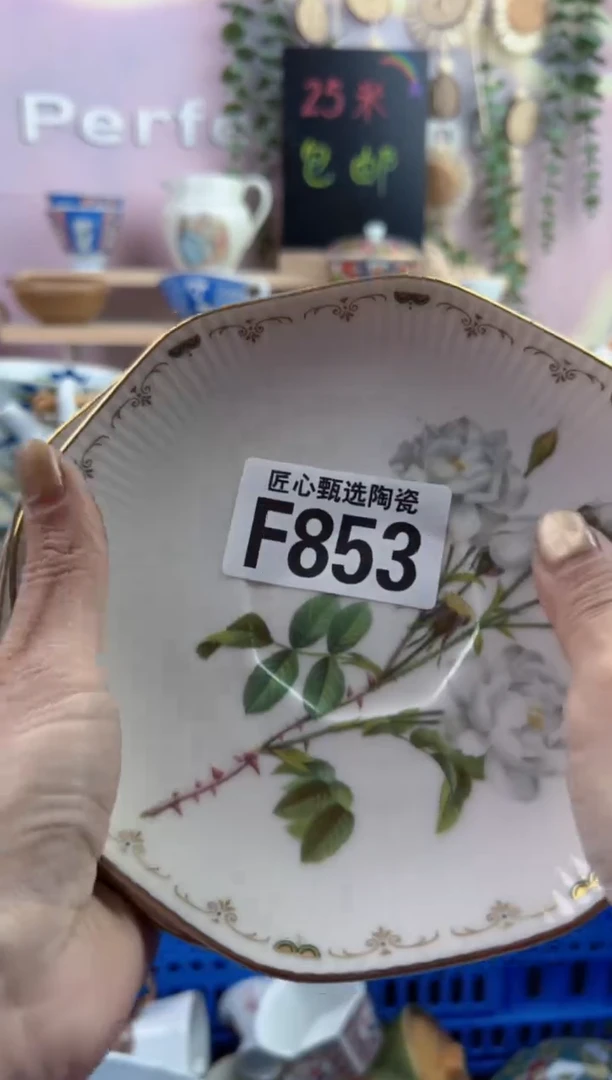 瓷片月***亮         F853