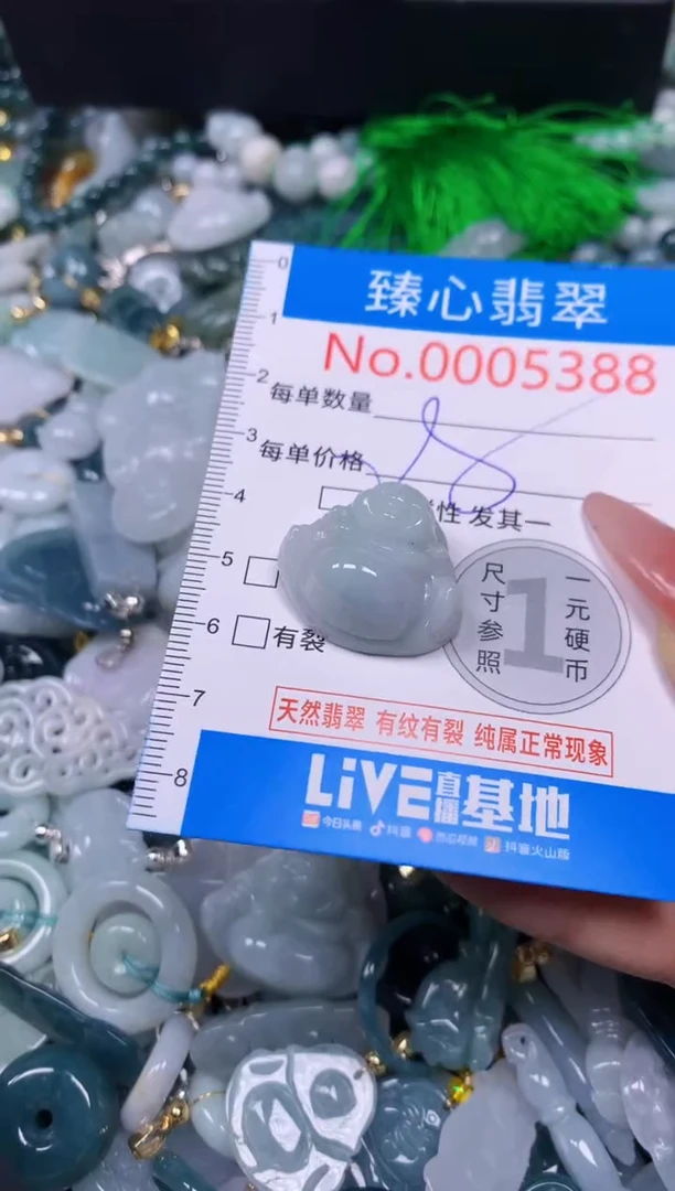 【闪购商品】翡翠颈饰未镶嵌含绳0005388