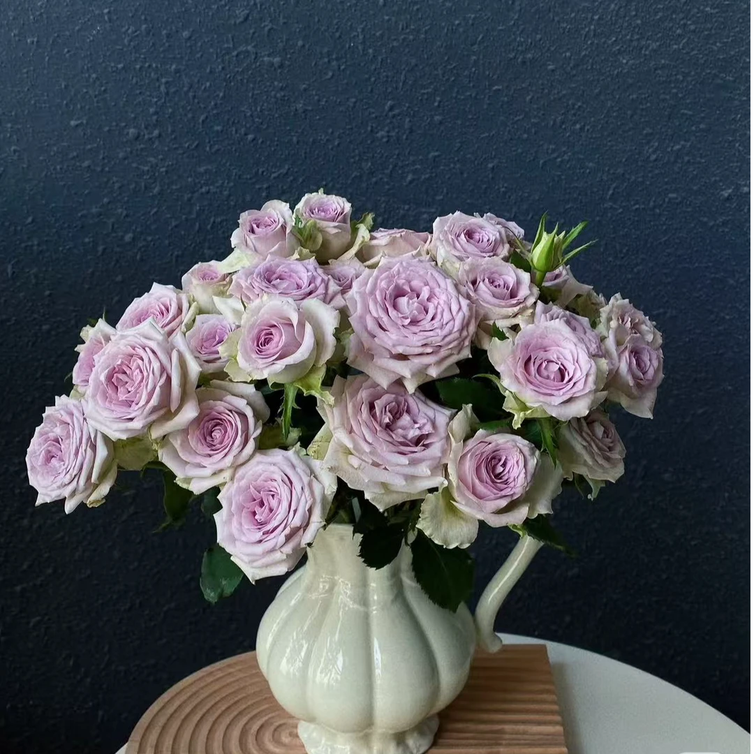 海洋之心单头玫瑰：同一地址任意两单送配草，三单可备注剪刀。