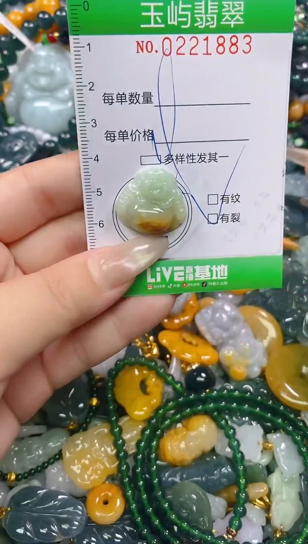 颈饰未镶嵌翡翠闪购0221883