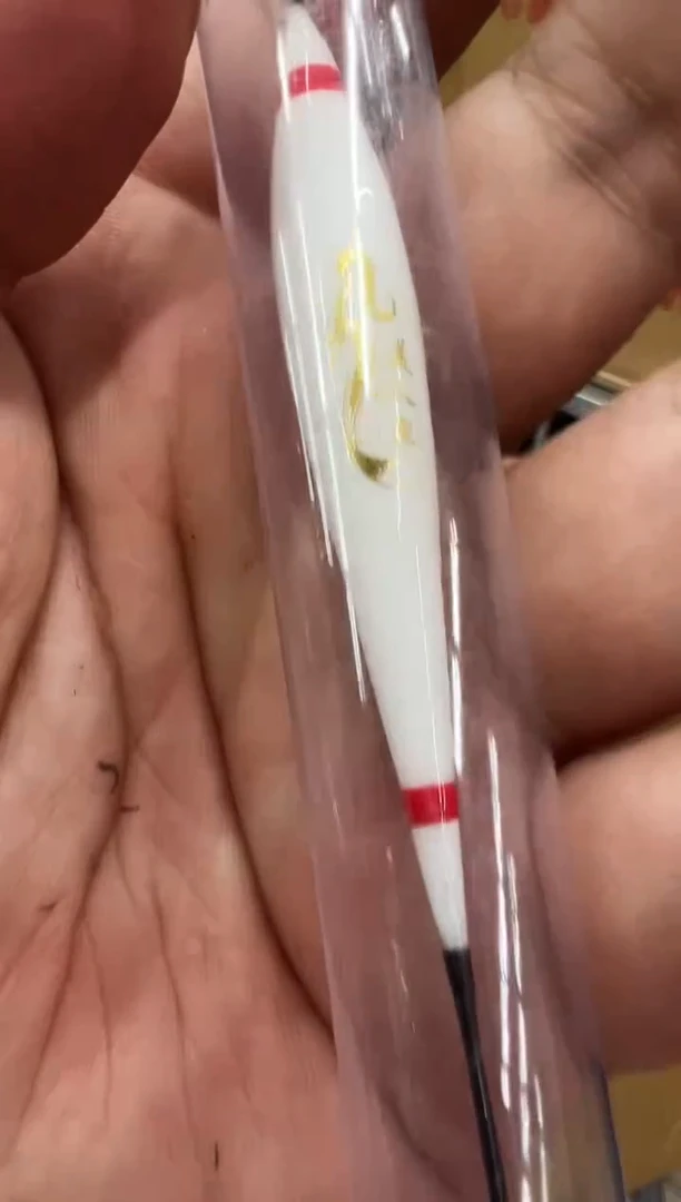 上海美人鱼白天漂*2
