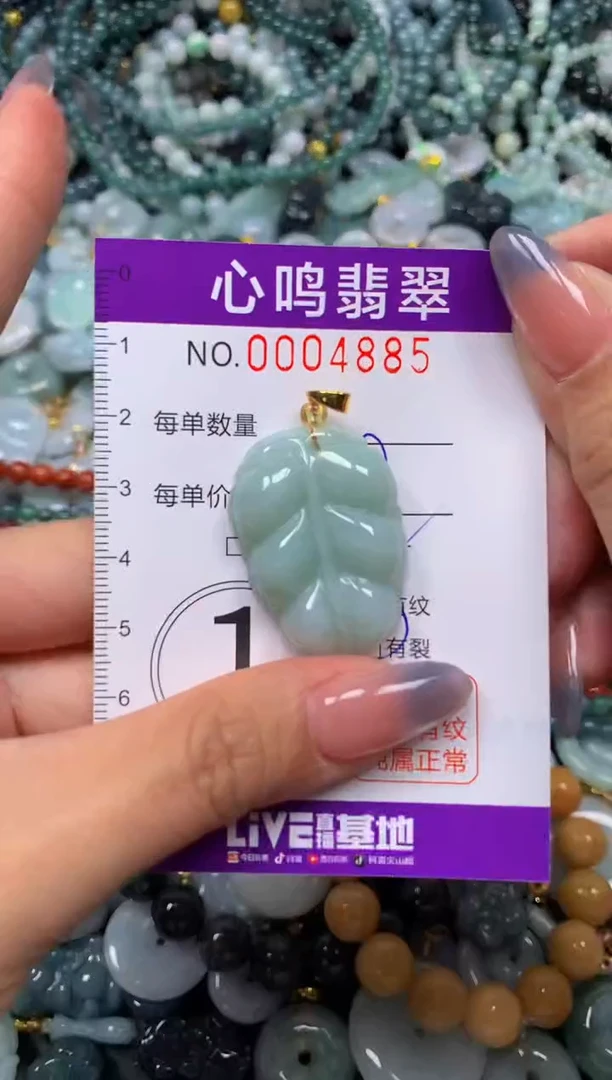 颈饰未镶嵌翡翠闪购004885