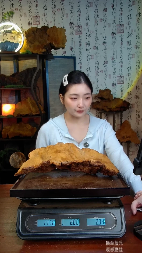 松针层孔菌中国大陆【藏区 野生】松树桑黄（2.34斤）30-40年份