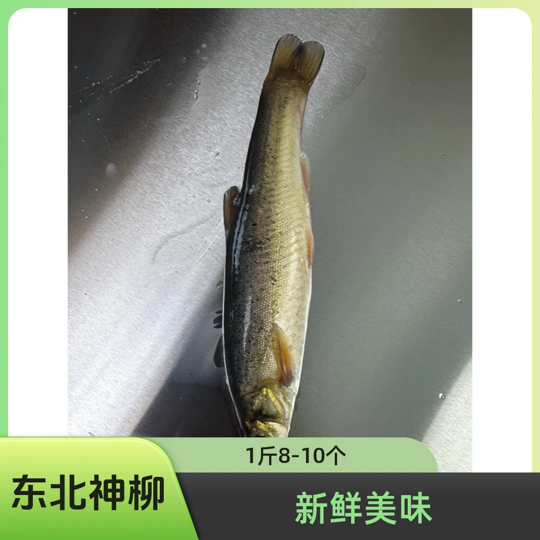 大柳根东北神柳冷水野生（1斤8-10个头）冷链锁鲜发货