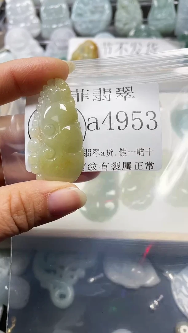 【闪购商品】翡翠颈饰未镶嵌闪购4953