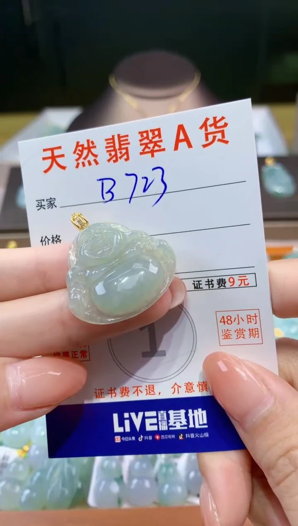 翡翠未镶嵌颈饰天然缅甸a货翡翠