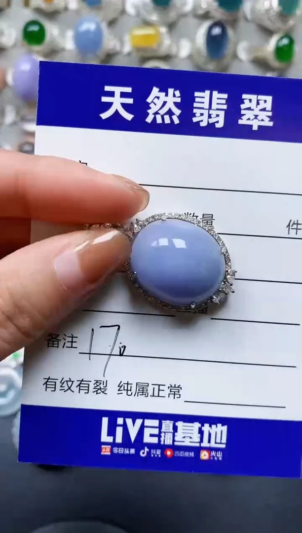 【闪购商品】翡翠颈饰银S925镶嵌0170