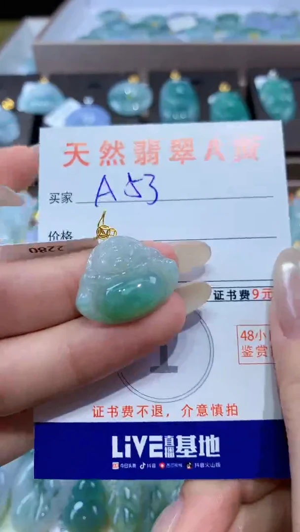 颈饰18K金镶嵌翡翠天然翡翠A货挂件