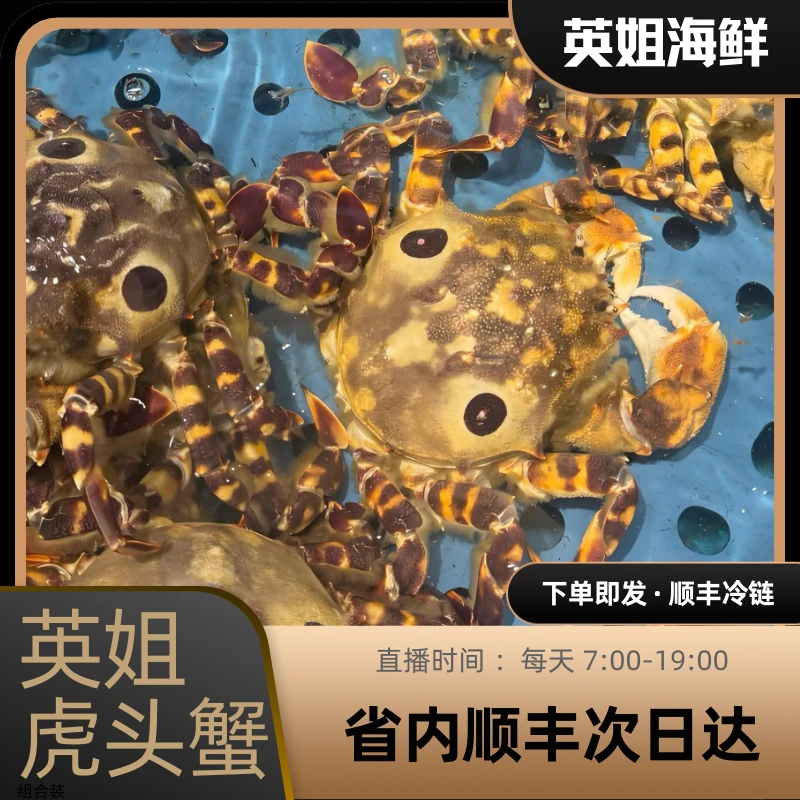 虎头蟹公母混3斤起快递发东北三省下单拍单只2两左右【保鲜不保活】