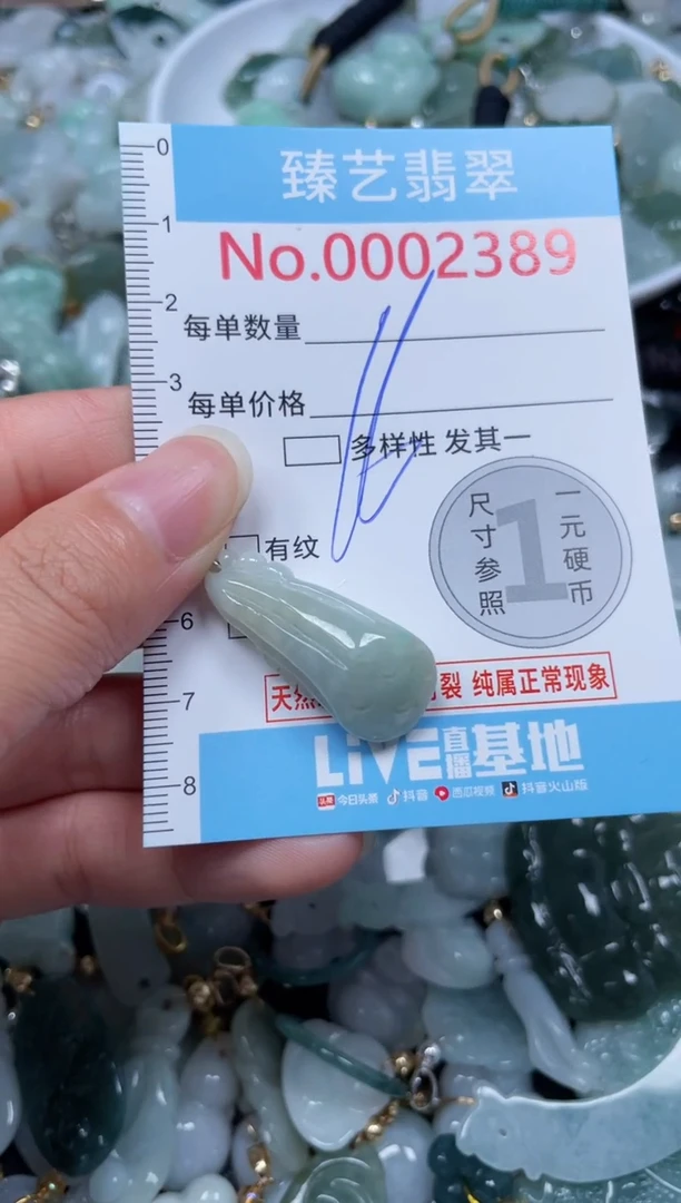 颈饰未镶嵌翡翠2389