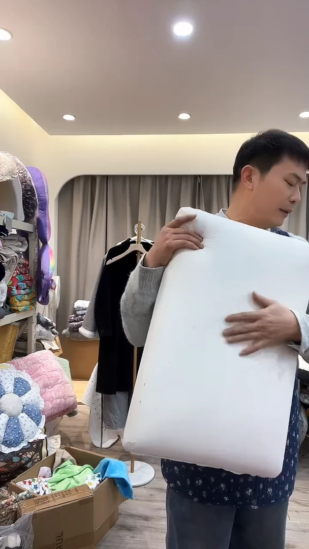 棉棉D06  枕头 一个