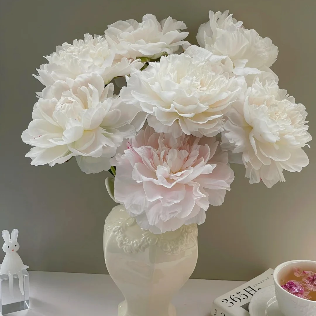 【花鲜达1】杨妃出浴芍药5枝装芍药次日达家居养花插花生活鲜花全场两单包邮送货上门今天拍明天到云南基地直发