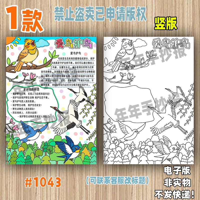 1043竖版国际爱鸟护鸟日手抄报小学生保护爱护鸟类电子版小报线稿