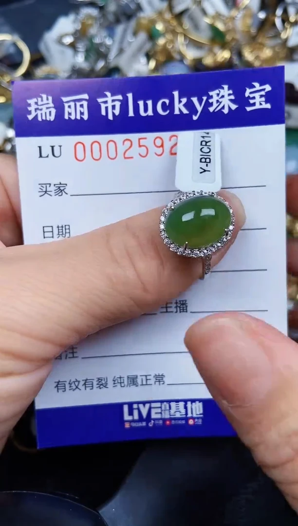 翡翠银S925镶嵌颈饰2592