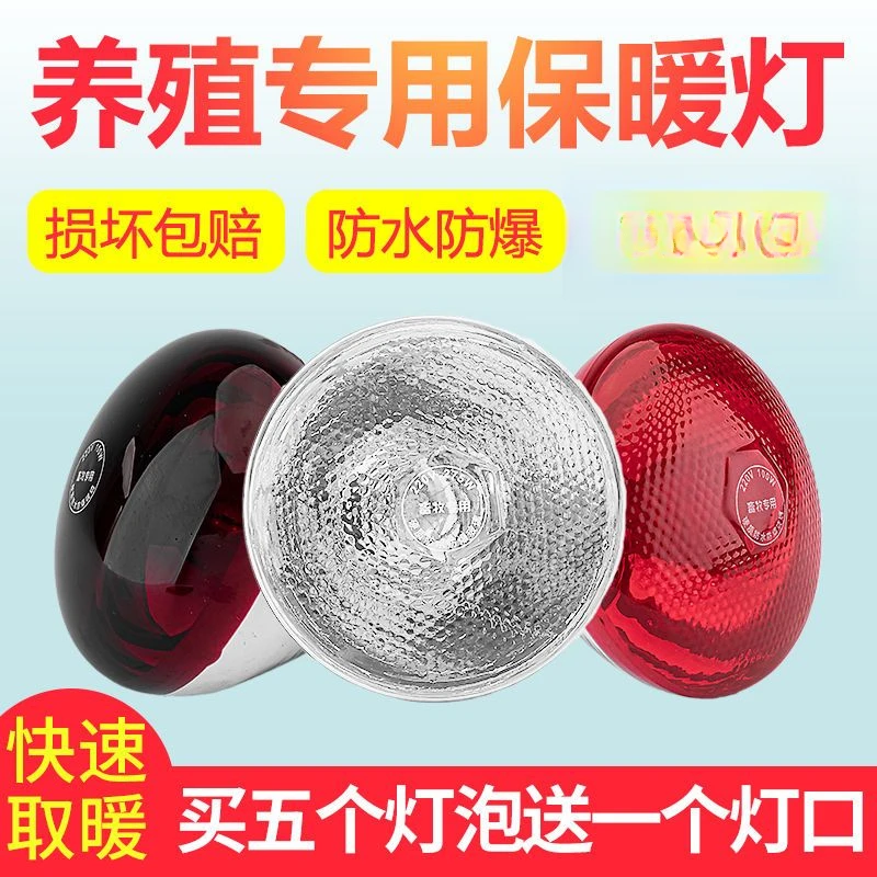 保温灯猪用养殖取暖灯防水防爆保温灯泡小鸡仔猪加热保暖灯泡兽用