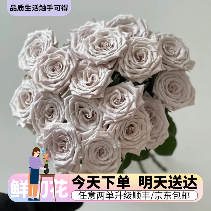 『曼塔单头玫瑰』今日下单明日送达 生活鲜切花同城批发直播