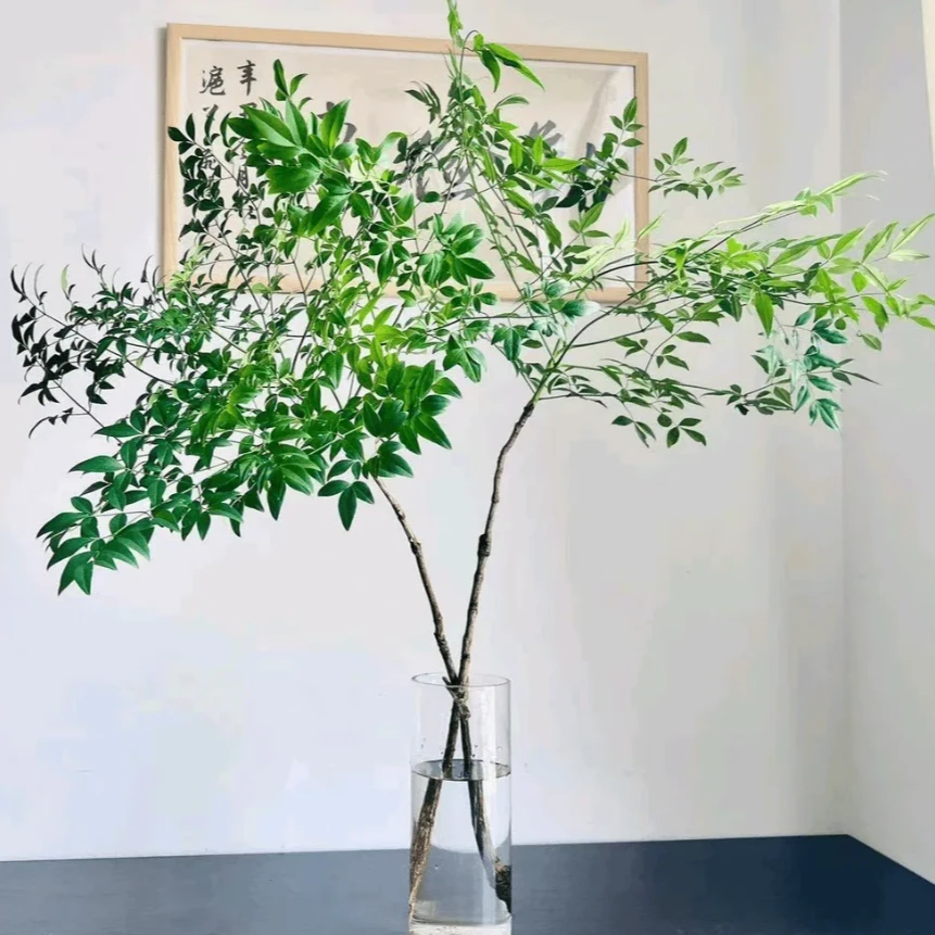 【拾花拾木】南天竹鲜花云南鲜花