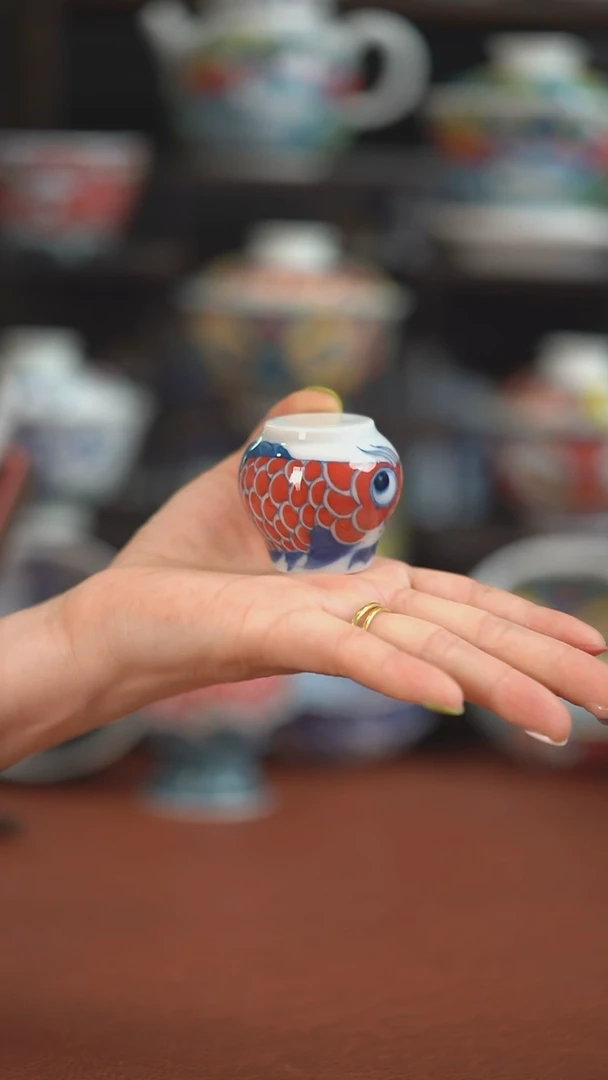 昨明 龙鱼墩墩盖置（宠粉福利）