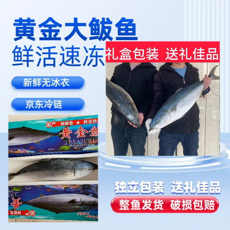 黄金大鲅鱼礼盒包装无冰衣京东发货