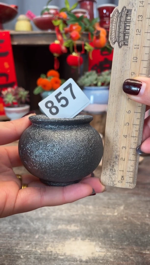 【闪购商品】摆件857知木小芳花盆