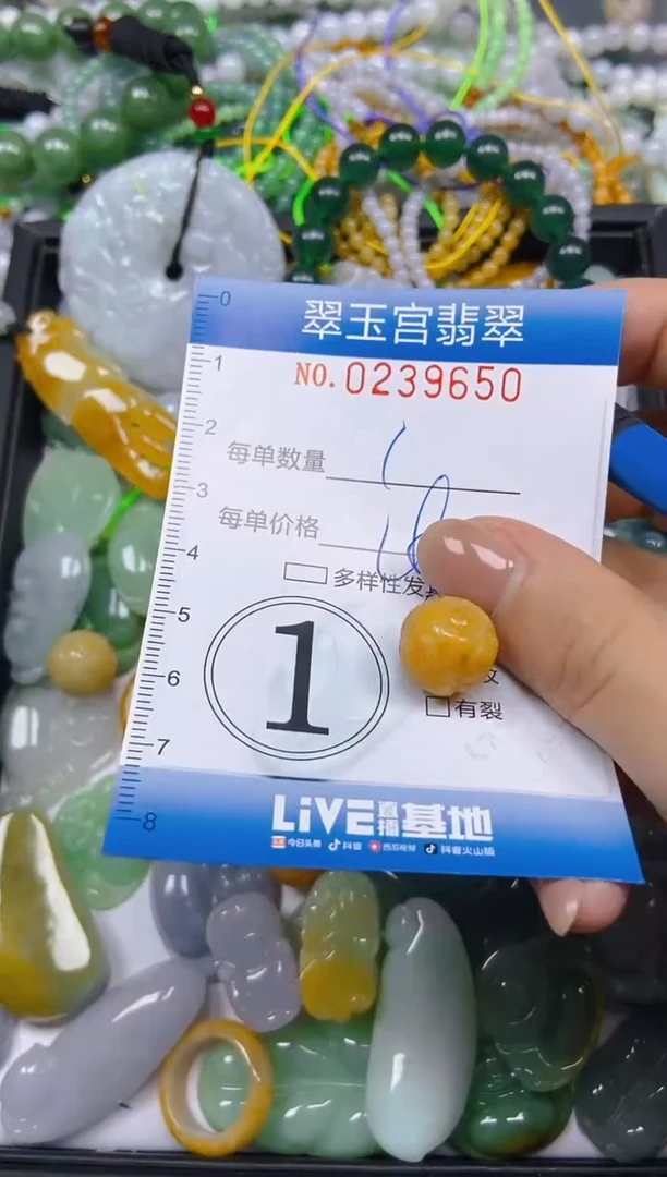 颈饰未镶嵌翡翠闪购C0239650