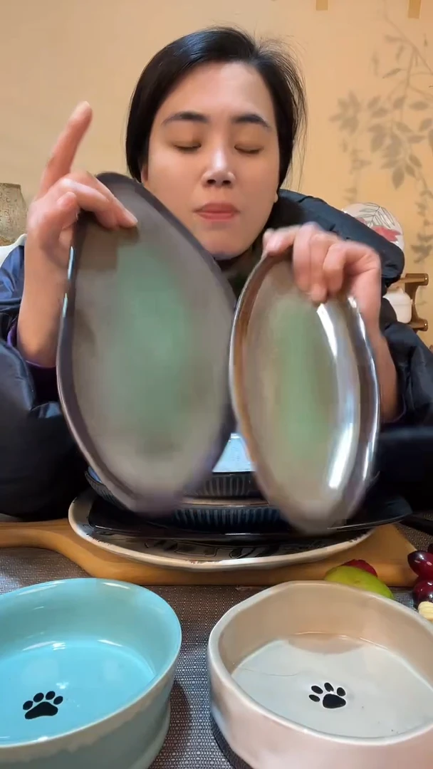 【闪购商品】瓷片瑕疵针眼 2个异形长盘 介意勿拍