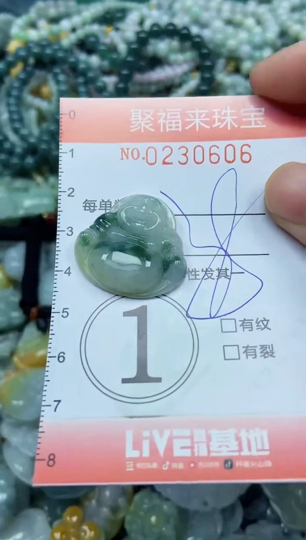 颈饰未镶嵌翡翠闪购0230606